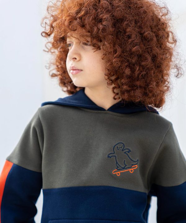 ست هودی شلوار دورس گلدوزی دایناسور