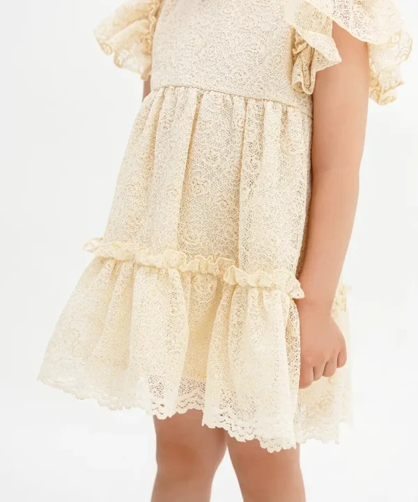 Rosy پیراهن دانتل - پوشاک مورینا