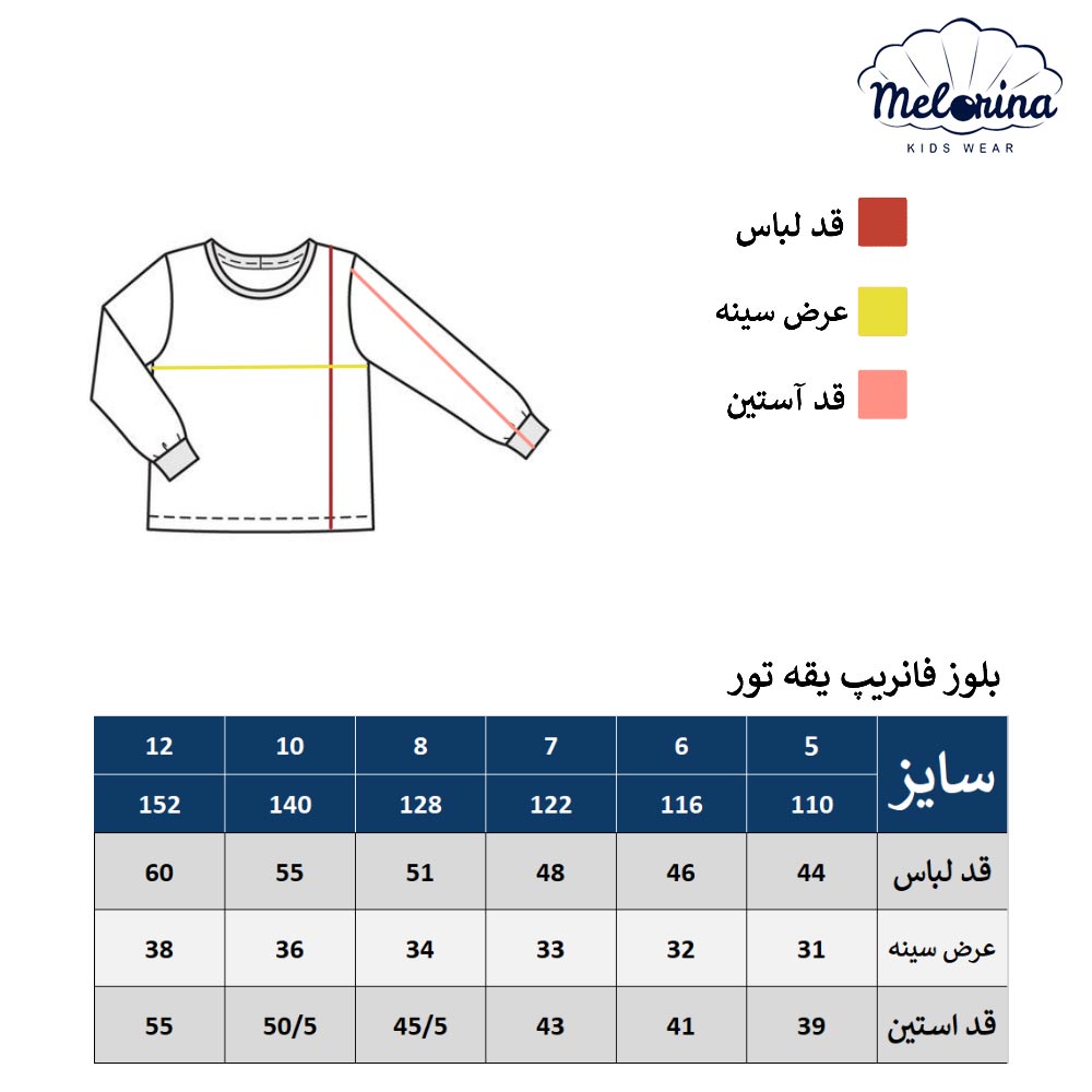 Fanrip blouse with net collar 8